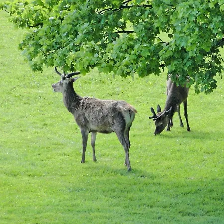 1 The Knoll * Ambleside